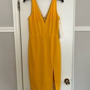 NWT Jay Godfrey Dress